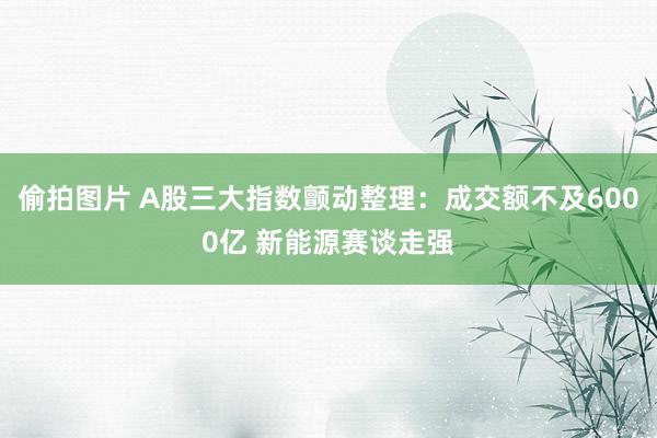 偷拍图片 A股三大指数颤动整理：成交额不及6000亿 新能源赛谈走强