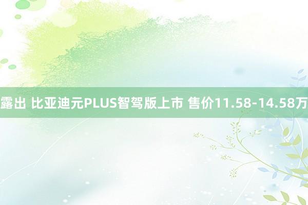 露出 比亚迪元PLUS智驾版上市 售价11.58-14.58万