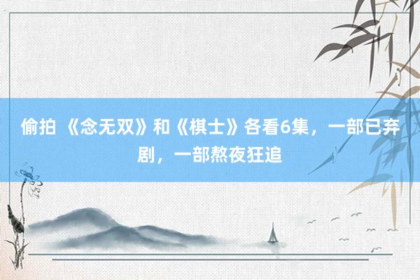 偷拍 《念无双》和《棋士》各看6集，一部已弃剧，一部熬夜狂追