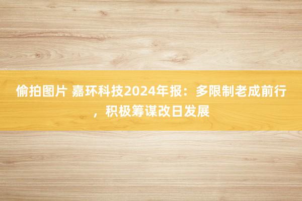 偷拍图片 嘉环科技2024年报：多限制老成前行，积极筹谋改日发展