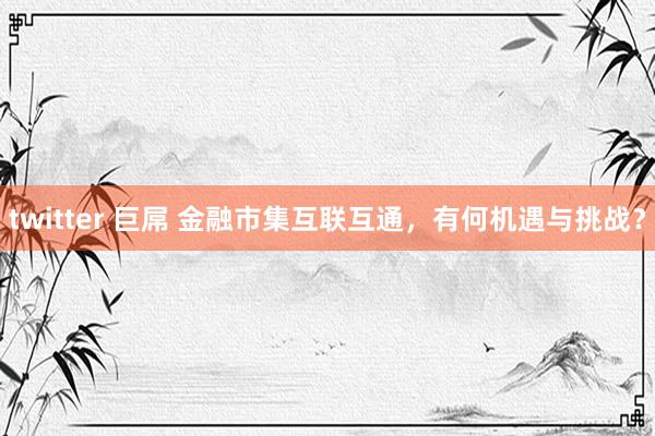 twitter 巨屌 金融市集互联互通，有何机遇与挑战？