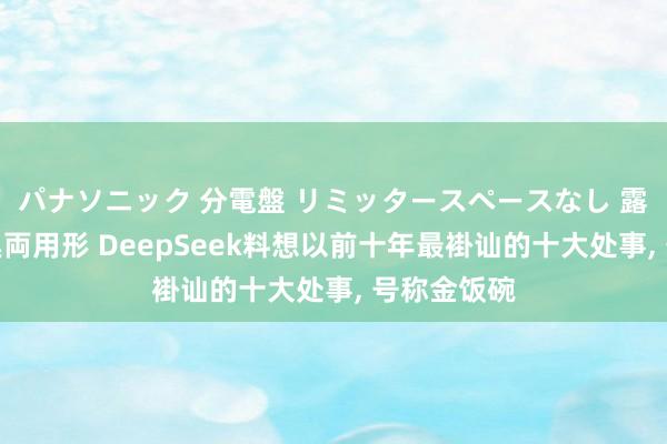 パナソニック 分電盤 リミッタースペースなし 露出・半埋込両用形 DeepSeek料想以前十年最褂讪的十大处事， 号称金饭碗