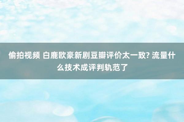 偷拍视频 白鹿欧豪新剧豆瓣评价太一致? 流量什么技术成评判轨范了