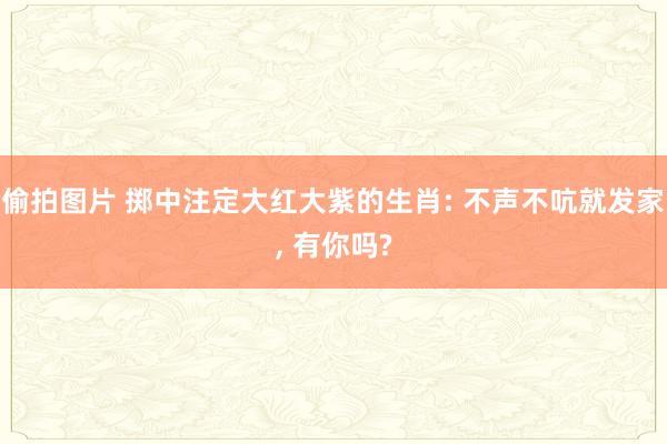 偷拍图片 掷中注定大红大紫的生肖: 不声不吭就发家， 有你吗?