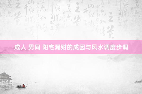 成人 男同 阳宅漏财的成因与风水调度步调