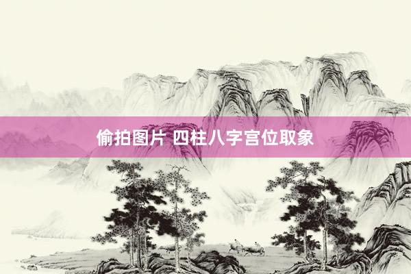 偷拍图片 四柱八字宫位取象